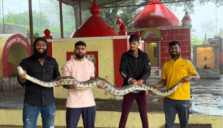 Python