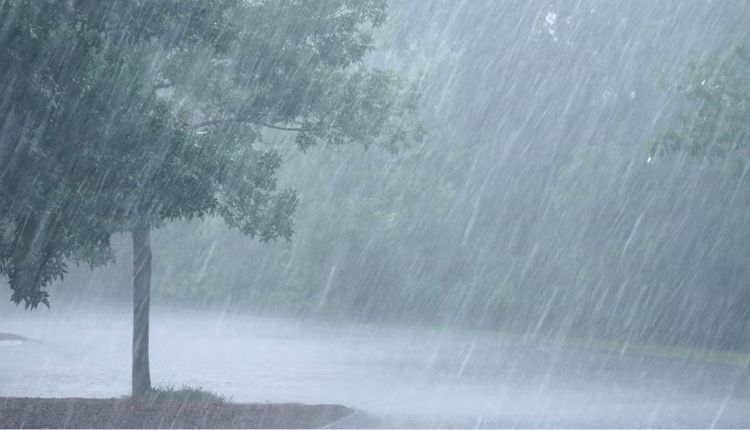 Lonavala Rain