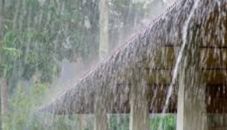 Lonvala Rain