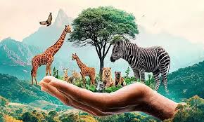 Wildlife awareness