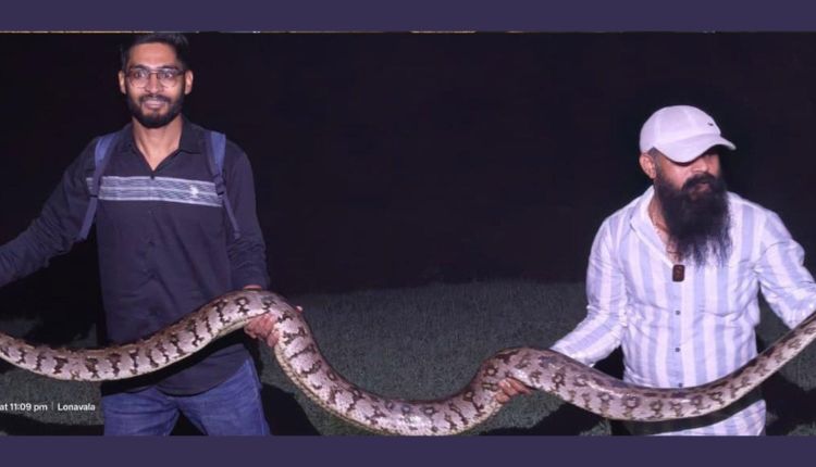 Python in Lonavala